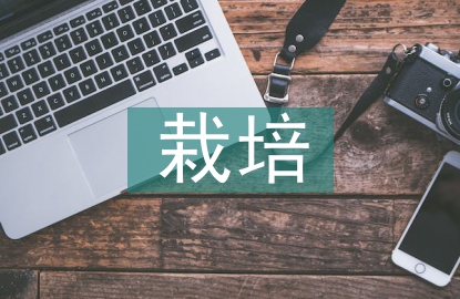 栽培管理論文