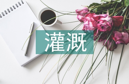 農田水利灌溉管理問題及完善措施
