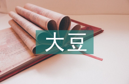 大豆營銷論文