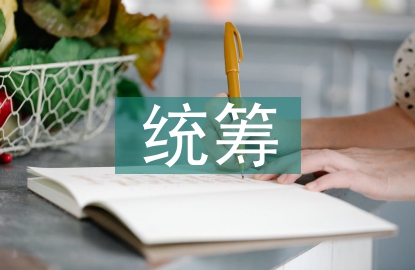 統籌管理論文