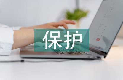 傳統(tǒng)文化保護(hù)論文