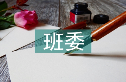 班委團員個人總結