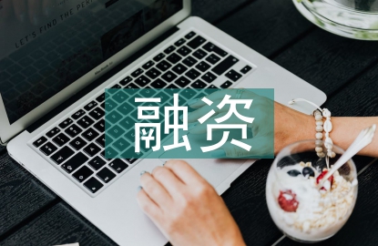 融資性擔保機構風險管控策略