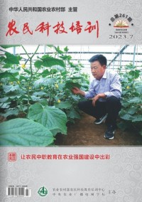 培訓(xùn)雜志社