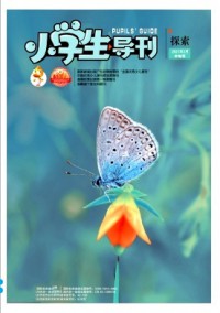 小學生導刊·中年級雜志