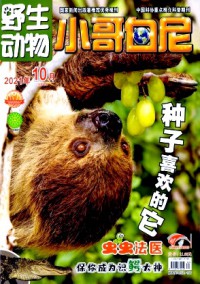 小哥白尼·野生動(dòng)物畫報(bào)