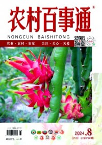 農村百事通雜志